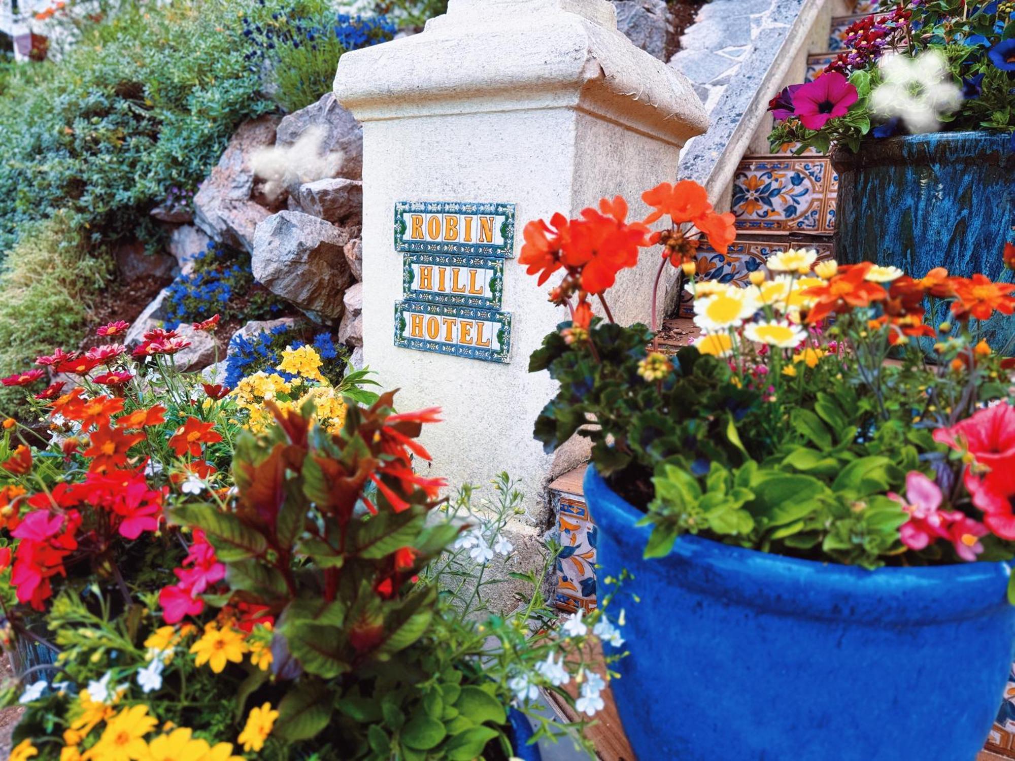 The Robin Hill Bed & Breakfast Torquay Eksteriør bilde