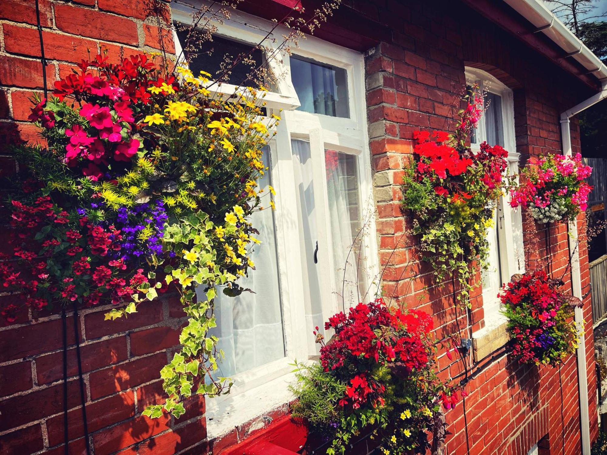 The Robin Hill Bed & Breakfast Torquay Eksteriør bilde