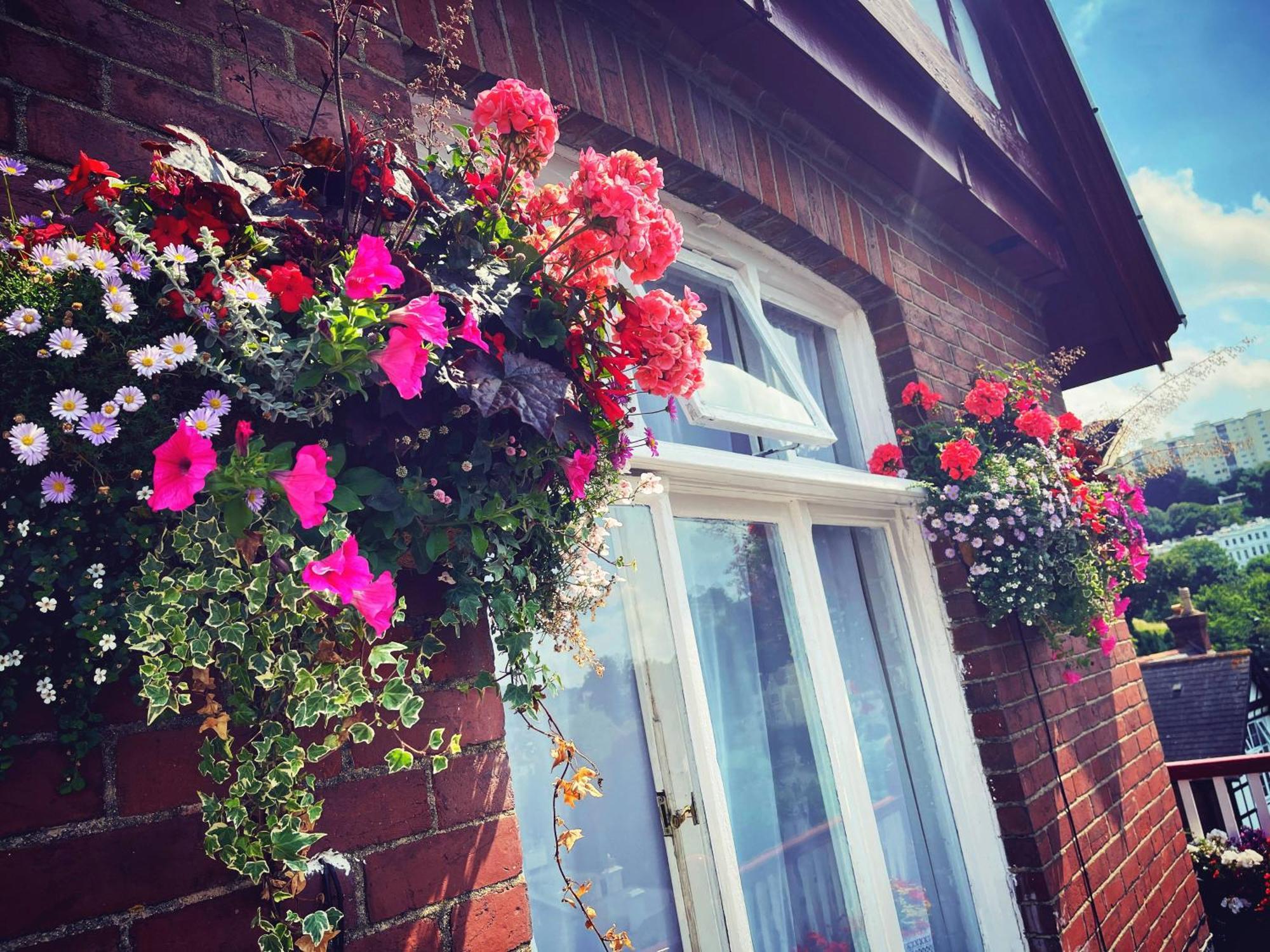 The Robin Hill Bed & Breakfast Torquay Eksteriør bilde